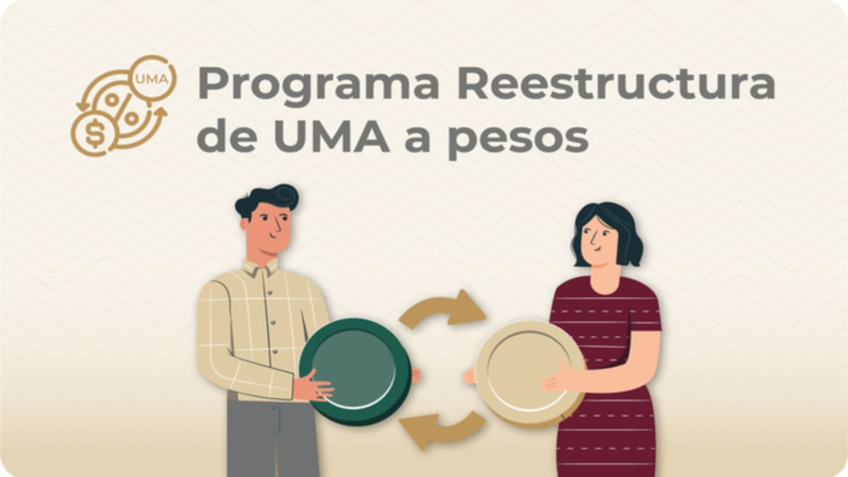 Todos Los Cr ditos Fovissste En 2025 todos-los-cr-ditos-fovissste-en-2025